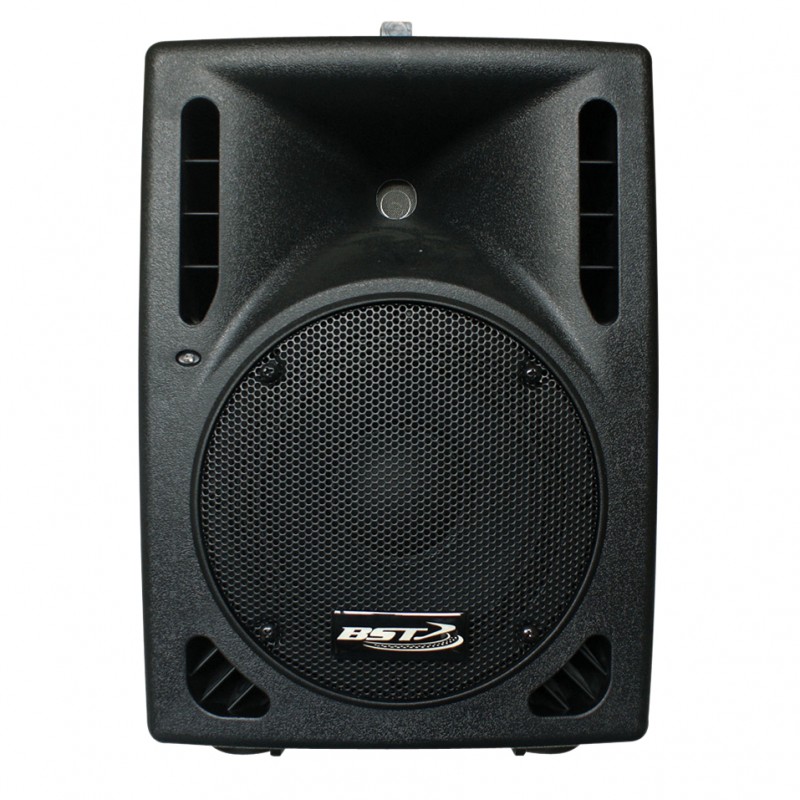 2Way Passive Speaker Enclosure 8”/20 cm 300 W BST Distribution